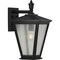 Progress Lighting Cardiff Collection One-Light Medium Wall Lantern with DURASHIELD P560167-031 - alternate 2